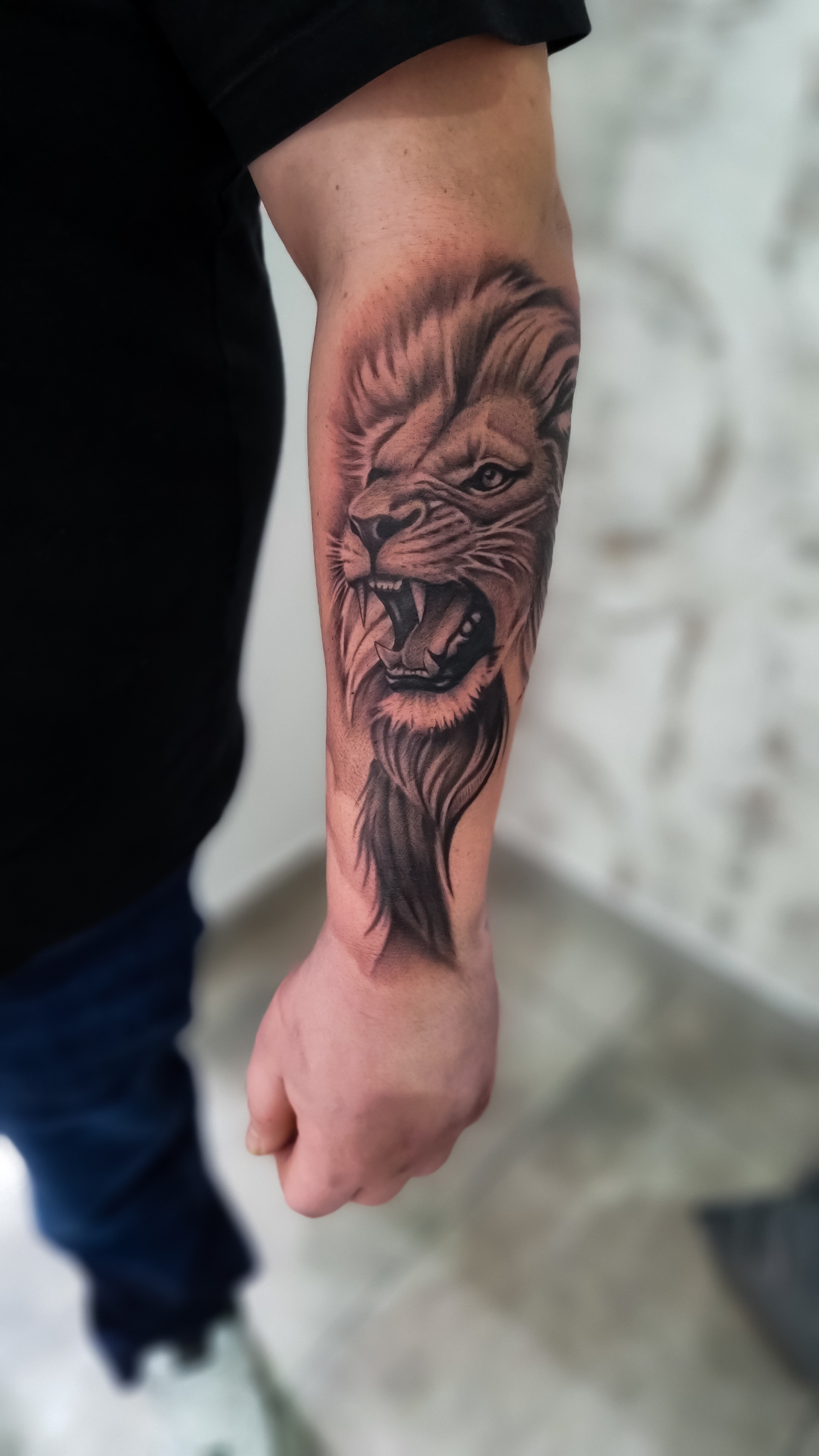 Ein Arm mit einem detaillierten Löwen-Tattoo, der wütend wirkt; schwarz auf hellem Hintergrund.